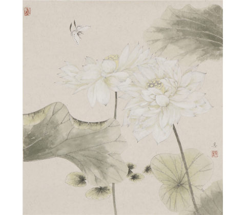 荷花