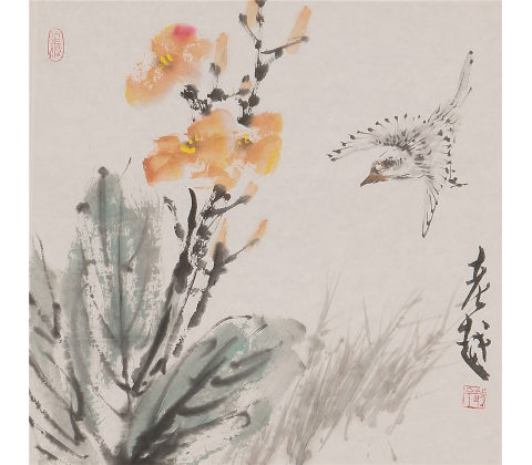 花艳鸟自在